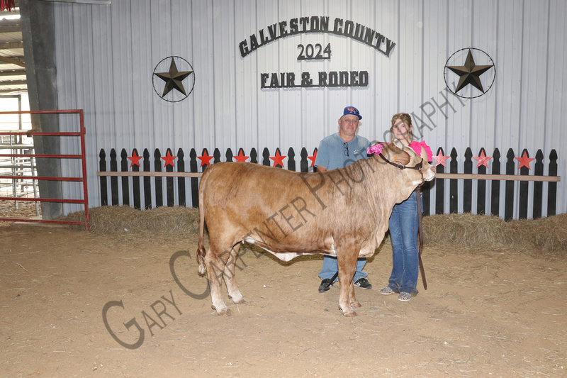 Gary Carpenter Photography Commercial Heifer Auction