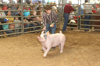 Market Swine Class 2