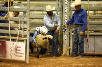 Mutton Bustin' Friday Night