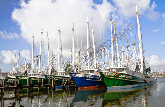 Shrimpboats in Galveston Harbour Galveston County, Texas